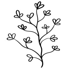 Plant-twig-23