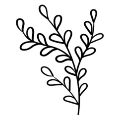 Obraz premium Plant-twig-25