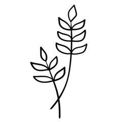 Plant-twig-27