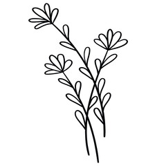 Plant-twig-29