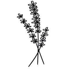 Plant-twig-30