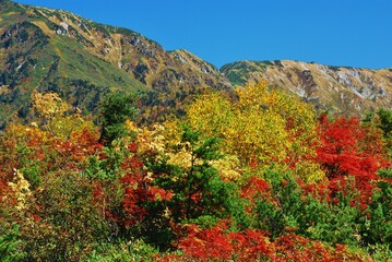 紅葉の立山 弥陀ヶ原　