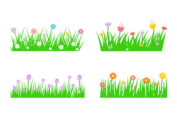 spring grass and flowers isolated on white background.