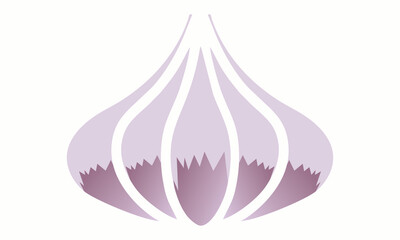 illustration of a onion
