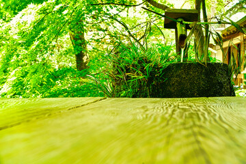 日本京都・お寺の日本庭園