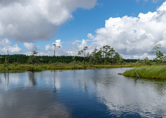 landscape from the bog, bog after rain, bog lake, dark storm clouds, traditional bog vegetation, heather, grass, bog pines, Tolkuse raba matkarada, Parnu county, Estonia