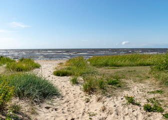 seaside landscape from Estonia, sea grasses and rocks in shallow sea water, Kabli bird center, Parnu Bay, Estonia