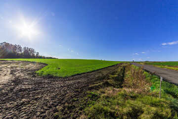 Obraz premium 晩秋の美瑛