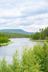 Fototapeta premium River flowing through a forest landscape