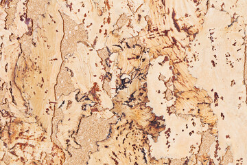 the yellow cork texture background