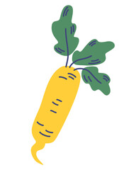 Daikon radish with green stem. Vegetable root. White radish, fresh veggie with green stem, organic food. Horseradish rhizome plant. Vector illustration isolated on white background.