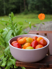 Cherry tomatoes in different colors in a bowl