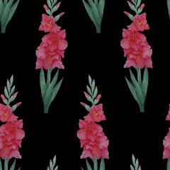 Seamless pattern of red gladioli on a black background