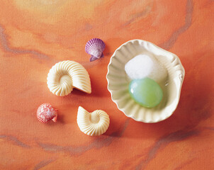 seashells