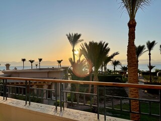 sunrise at the sea & Palms