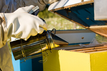 Beekeeper using bee smoker in the apiary, close up