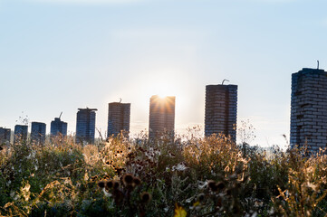 brick pillars in a field from a destroyed building at sunrise