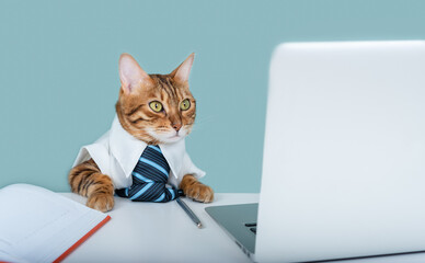 Pensive Bengal cat in a blue tie near a laptop and a diary sits, home office