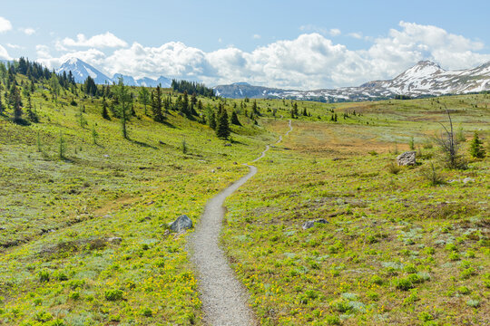 assiniboine high line trail in sunshine meadows