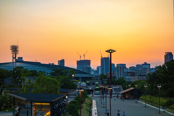Fototapeta premium 夕暮れの大阪の公園