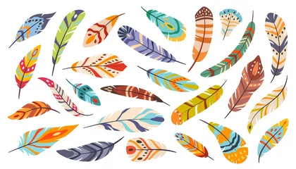 Peel and stick wall murals Boho Style Tribal feathers, boho ethnic stylized bird feather. Flat cartoon elegant colorful bohemian feathering, indigenous feathers vector set. Vivid and bright accessory for decoration isolated