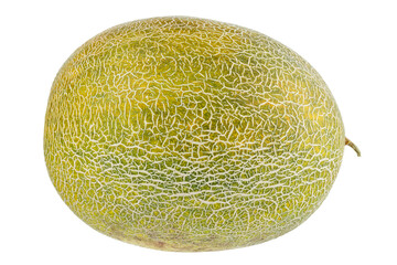 Close up view of fresh melon isolated on white background.