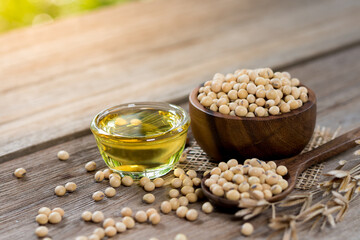 Soybean seeds for health, copy space.