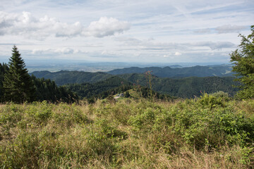 Fototapeta na wymiar landscape in the Black Forest in southern Germany near the “Kälbelescheuer”.