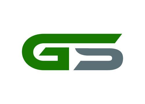 Initial Letter GS Logo or Icon Design Vector Image Template