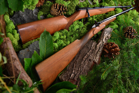 Gewehr, Jagdgewehr antik im Wald