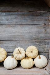 White pumpkins (baby boo) on wooden background