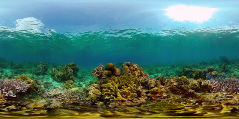 Naklejka na ściany i meble Underwater scene coral reef. Hard and soft corals, underwater landscape. Travel vacation concept. Philippines. Virtual Reality 360.