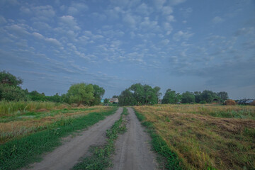 Fototapeta na wymiar landscape of a rural road at dawn