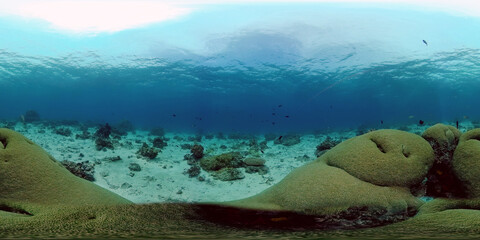 Marine scuba diving. Underwater colorful tropical coral reef seascape. Philippines. 360 panorama VR