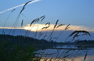 Sunset on the lake, view through the tall grass