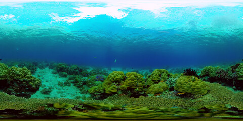 Tropical coral reef seascape with fishes, hard and soft corals. 360 panorama VR