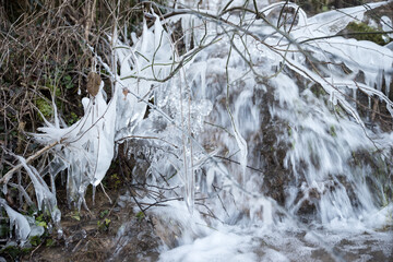 frozen creek in winter forest