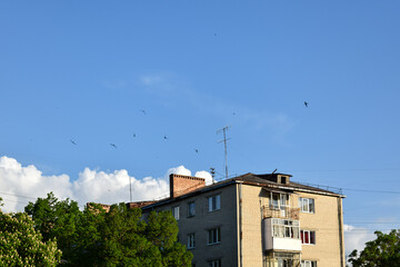 House in the city on blue sky background