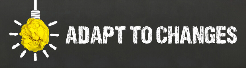 adapt to changes