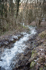 frozen creek in winter forest