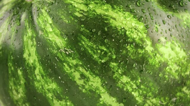 Extreme closeup fresh appetizing watermelon with falling water drops slow motion macro shot