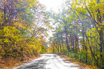 Obraz premium 青森市街と十和田湖を結ぶ八甲田・十和田ゴールドラインこと国道103号沿いの紅葉（八甲田連峰）