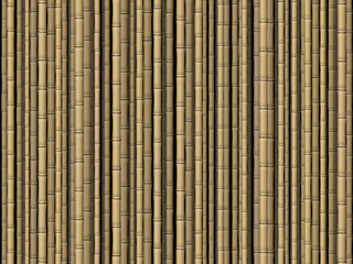 Bamboo background
