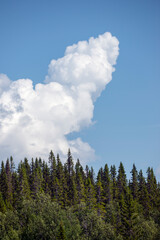 clouds over the forest, åre,jämtland,sweden,norrland,sverige