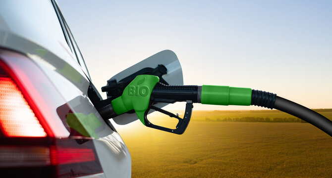 Refuelling the car with biofuel	