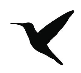 Hummingbird vector silhouette illustration isolated on white background. Tropical little bird colibri symbol.