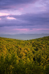 Golden, yellow, sunlit forests under a blue, purple and cloudy sunset sky