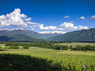 Fototapeta na wymiar A scenery of mountain alps with vineyard and bleu sky, cloud with greenery of trees and nature in a French region called 'Savoie' during sunny spring season 