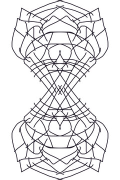 black and white spider