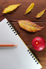 Opened blank notebook